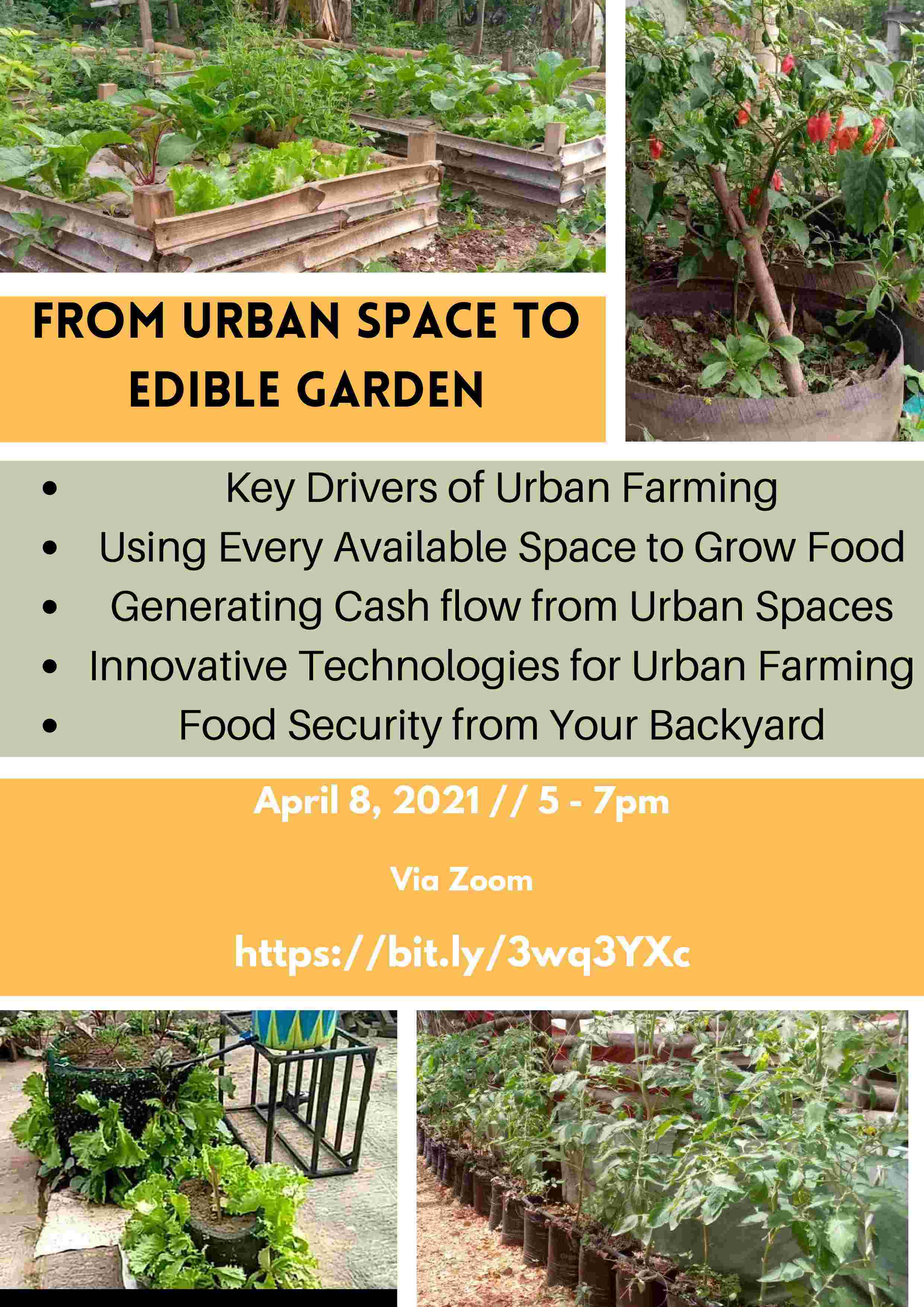 FROM URBAN SPACE TO EDIBLE GARDENS_compress16