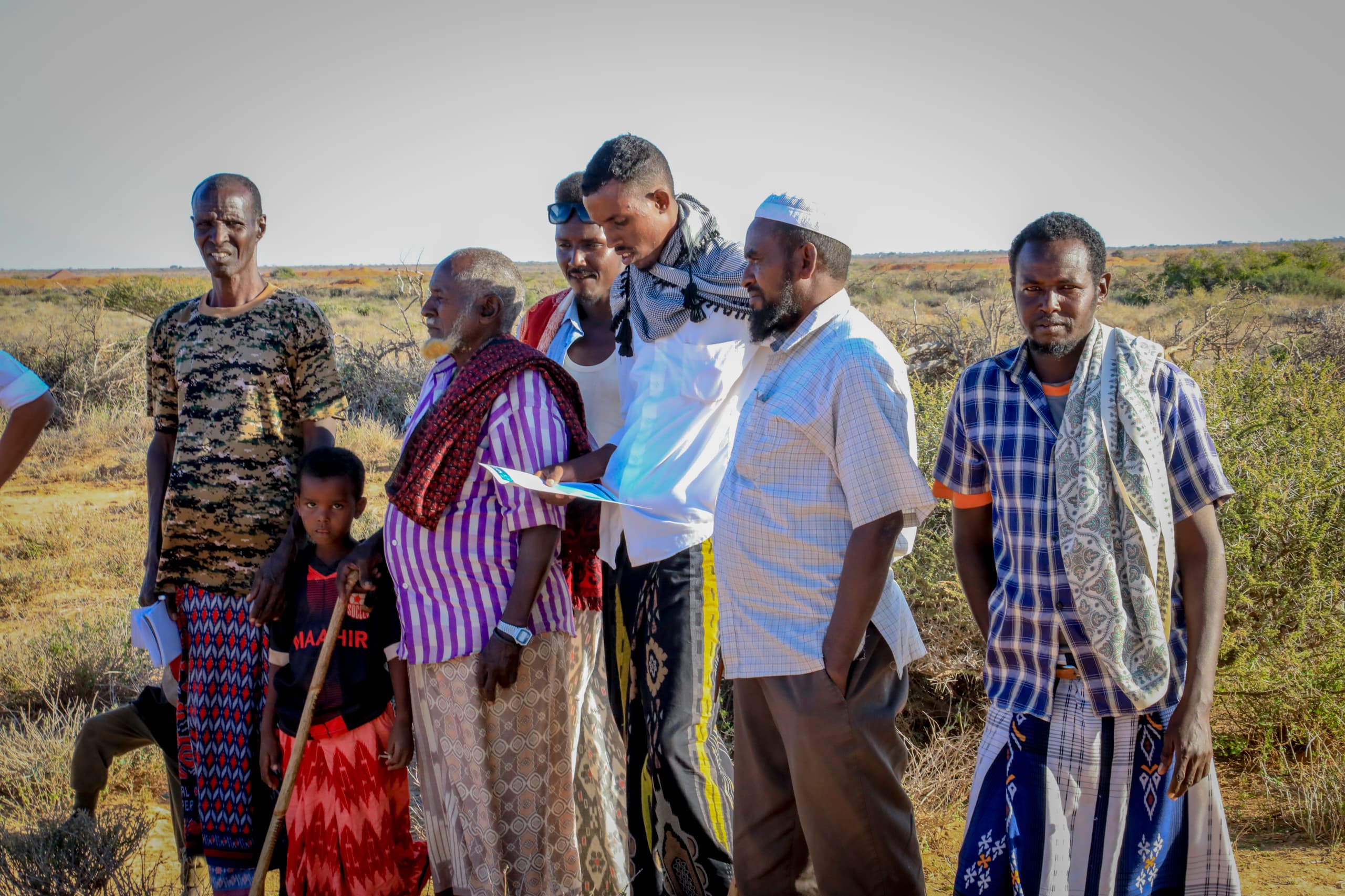 Abdirahman Ali
