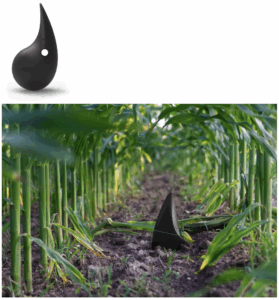 Bioo: Using plant photosynthesis to generate electricity | Nelis Global